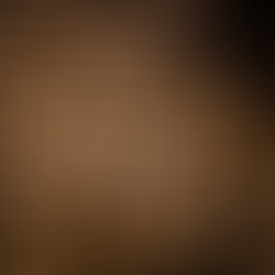 טבלת המרה כללית ללתתי Weyermann® מול יצרנים מובילים