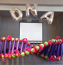 dna-balloon-sculpture-nyc-ny.JPG