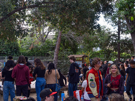 Fall Festival Blog Post