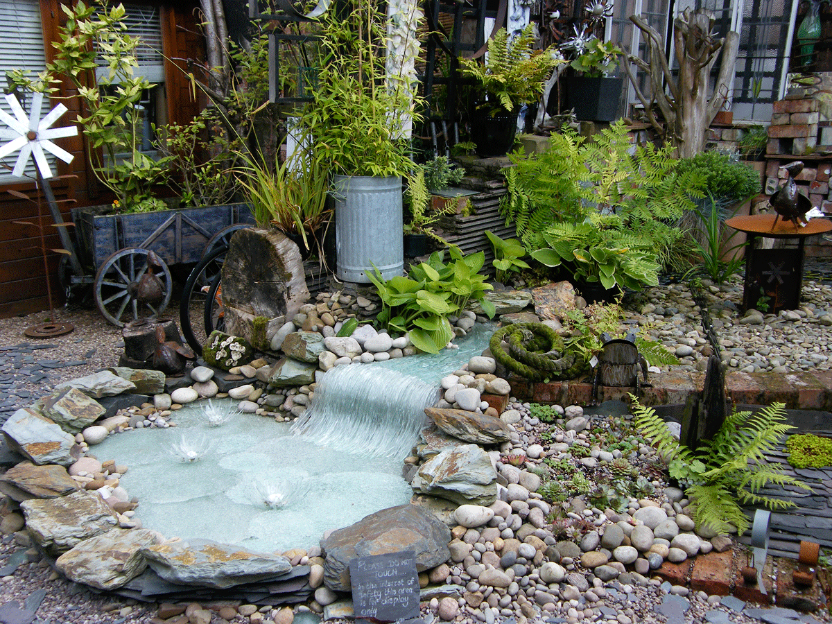 pond-pic.gif