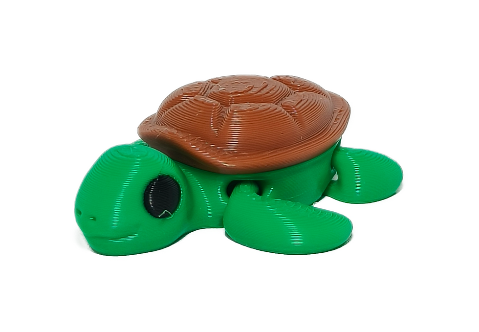 Thumbnail: Mini Turtle
