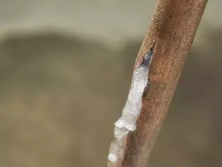 Preventing Frozen Pipes: Maintenance Tips to Protect Your Home This Winter
