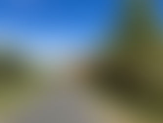 MWVTA/ Rec Path November News