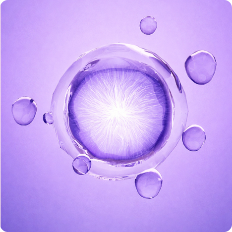 Gemini_Generated_Image_25cxrd25cxrd25cx.png