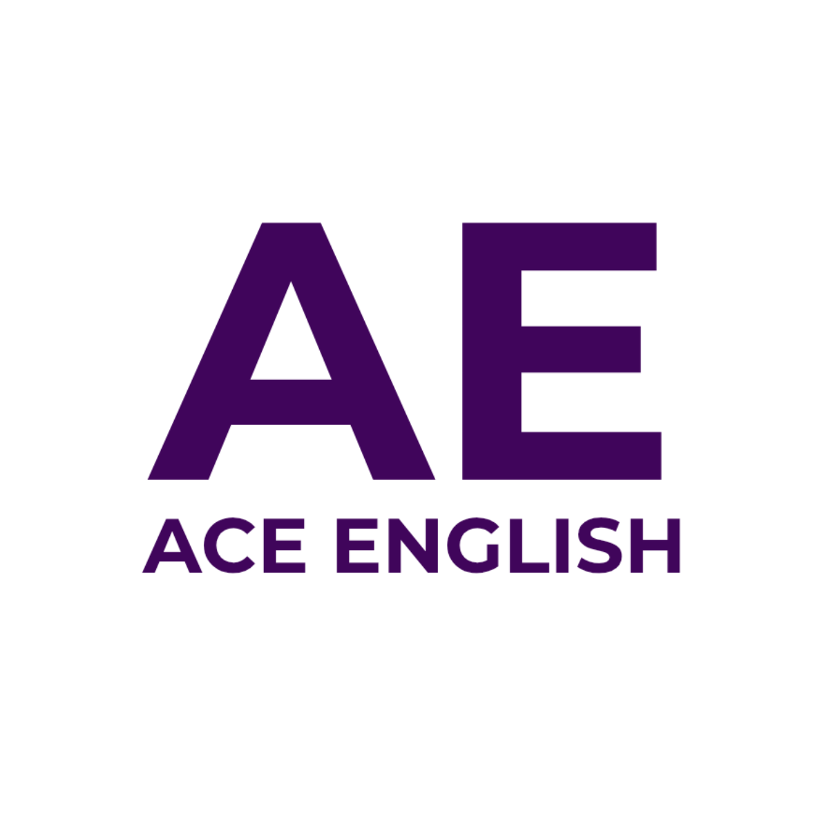 AE ACE ENGLISH_20251128_022544_0000.png