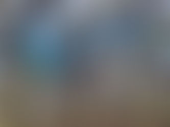 Five Go Ape At Sherwood Pines