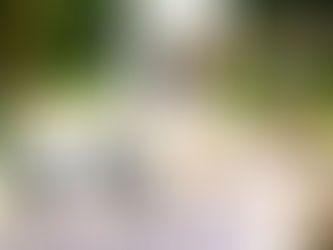 Quarantine Cuisine - Cooking up a storm