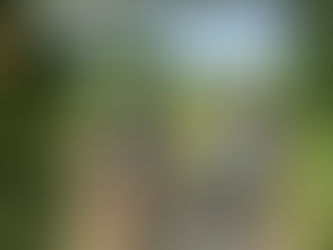 The Acorn Community Garden