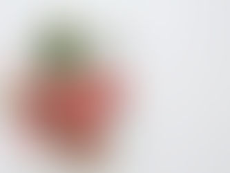 Christmas Gift Guide 2025