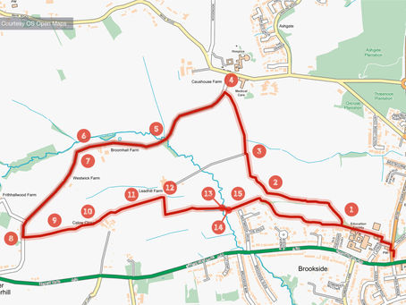 Local Walk: Westwick Lane