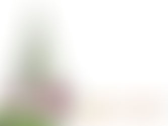 Climate Emergency:
A People’s Assembly