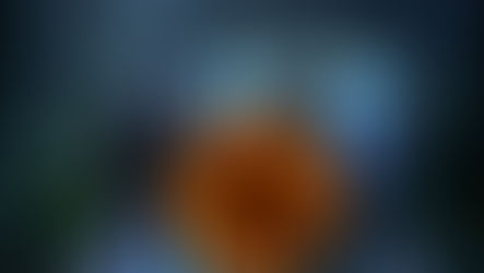 Bir Akşamın Belleği: Tiyatro D22 ile “Hakikat, Elbet Bir Gün” Buluşması