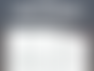 Executive Order No. 113: What the 13th Foreign Investment Negative List Means for Businesses in the Philippines