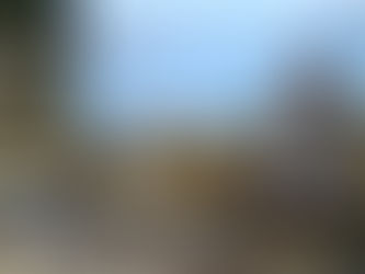 Beginning With the Body, Land, and Grief