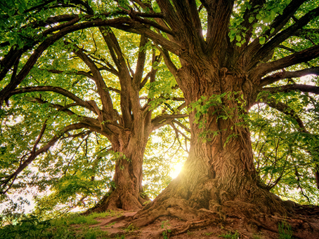 Grief as Restoring Relationship