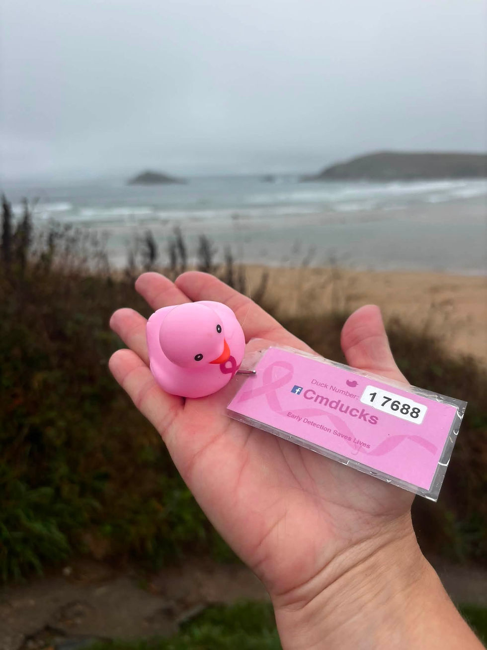A pink rubber duck number 17688 with Facebook profile name of Cmducks