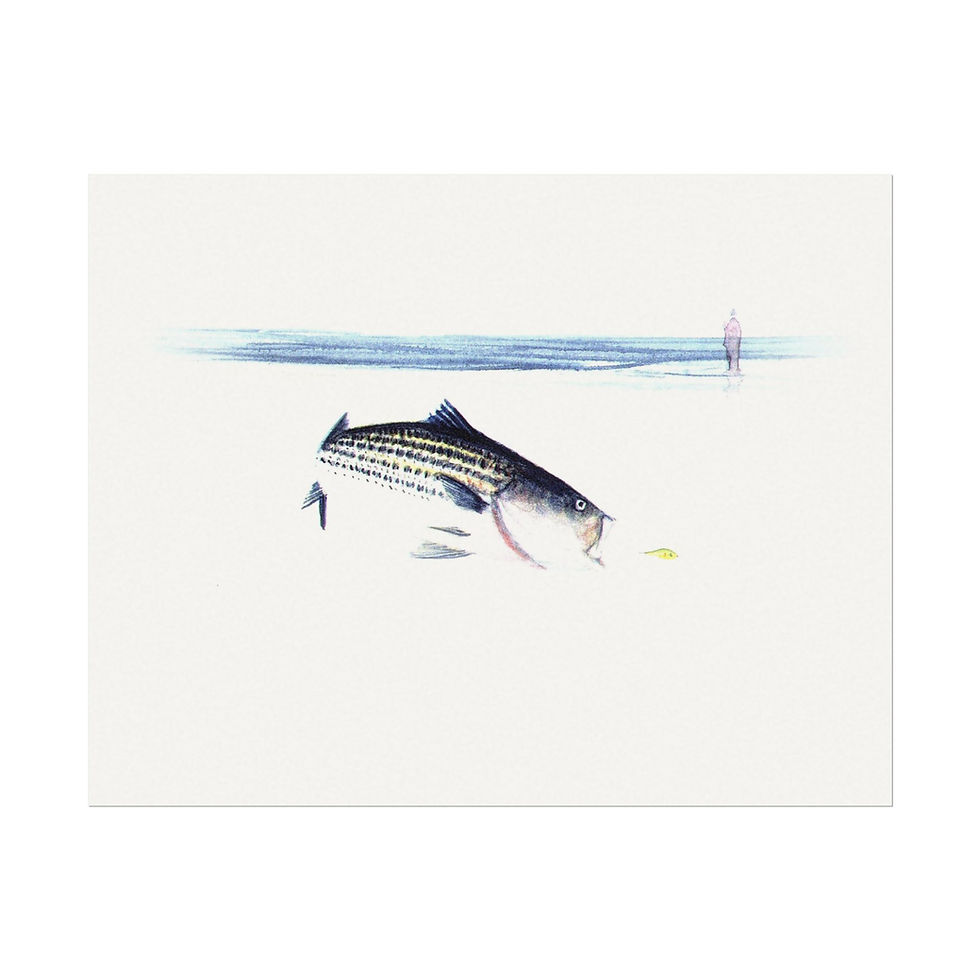 Surf Striper Vibes, Art for Relaxation
