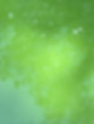 IMG_1581.jpeg