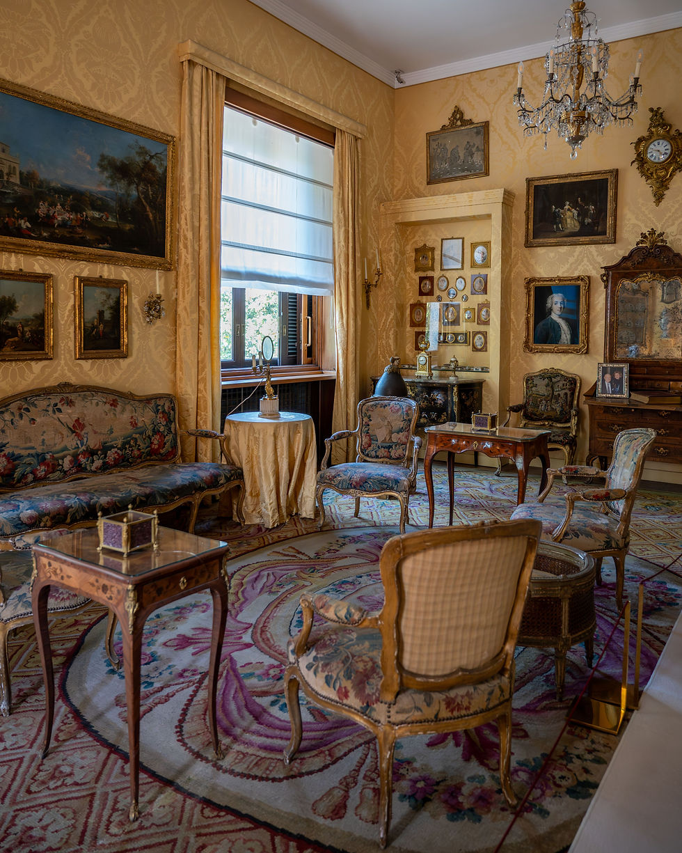 Elegante salotto antico con sedie floreali, lampadario, quadri, orologio e finestra soleggiata; atmosfera calda, riccamente decorata, simile a quella di un museo.