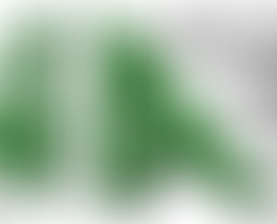 NNA Representative Personnel 2023