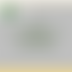 NNA 2024 17 Years Representative Team Announcement