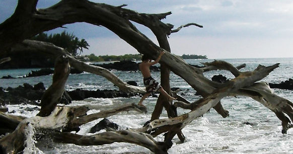 CIMG0016 - Copy (2) - Copy.JPG