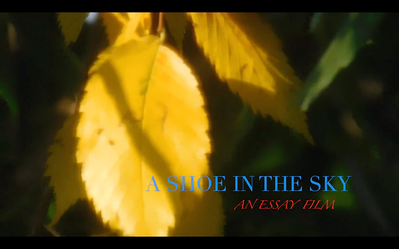 A Shoe In The Sky Essay Film Rejjia Camphor