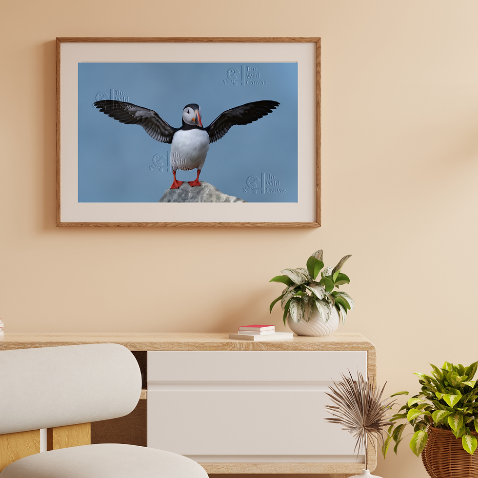 Thumbnail: Atlantic Puffin