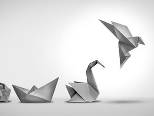 The Launch of a Movement