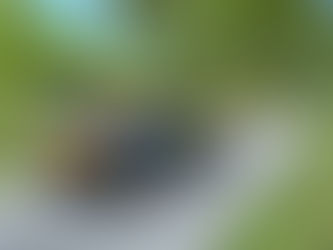 II. Szilveszter Rally 2024, "fun" futam újratöltve