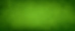 AdobeStock_297455861.jpeg