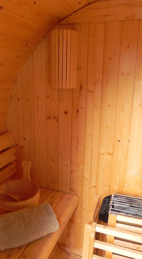 _Cazanengius (39).JPG