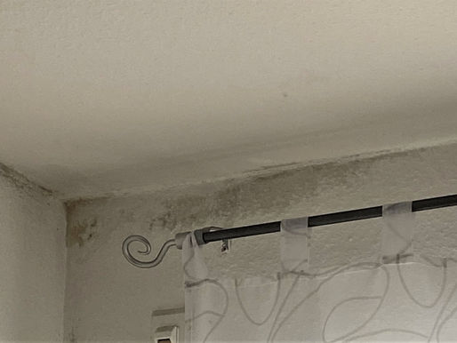 Ermittlung der Ursachen von Schimmel in einer Wohnung