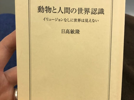 2019.1.31