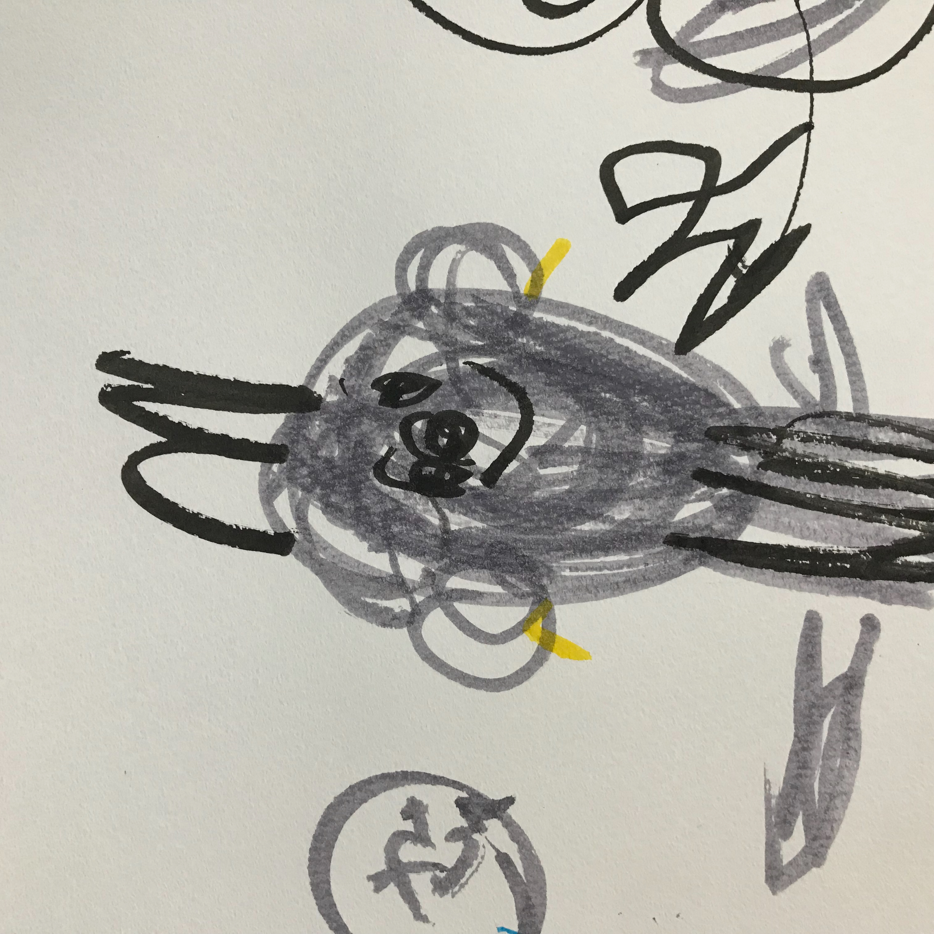 執筆者の写真: みずこしふみ