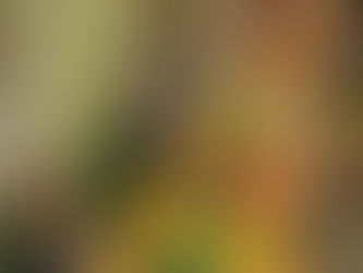 Happy Thanksgiving at Benjamin!