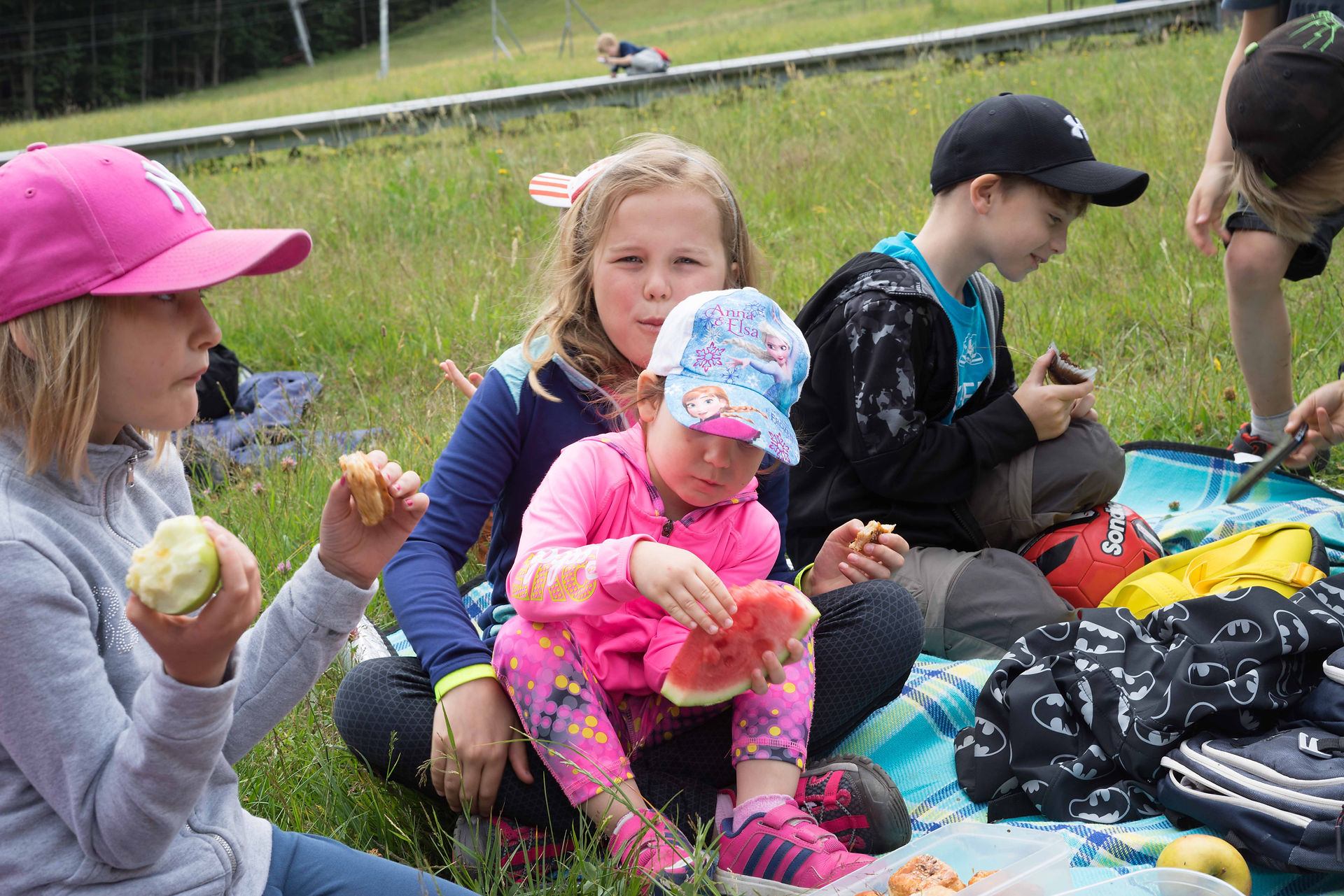 Picnic-39