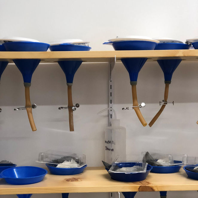 Nematode extraction1.jpg