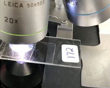 MIcroscope 172 slide.jpg