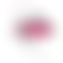 100 Wishes Project, 2021