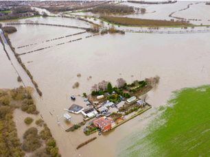 Insuring a Sustainable Future