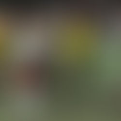 We gaan weer het veld op!