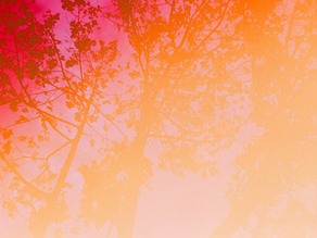 5 Hard “Truths” That Might Just Change Your Life
