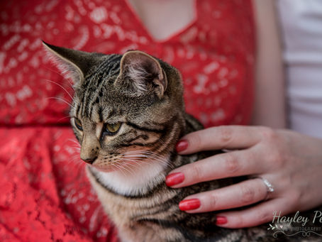 Martha & Simon's E-Shoot... with Kittens!