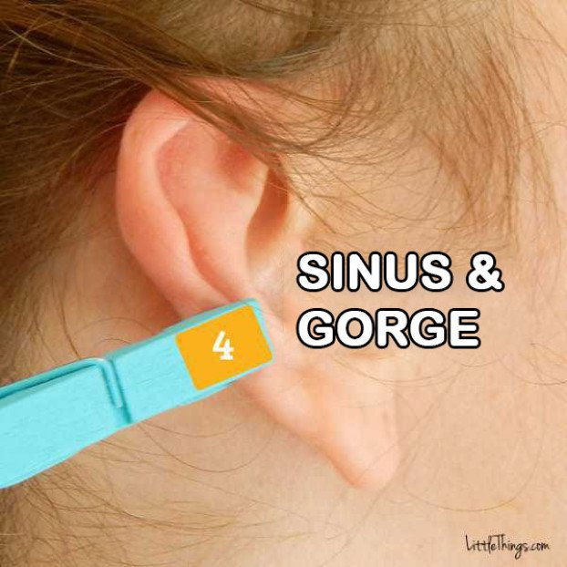 Sinus & Gorge Réflexologie