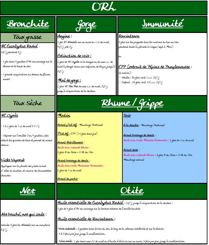 Orl (Ma fiche)