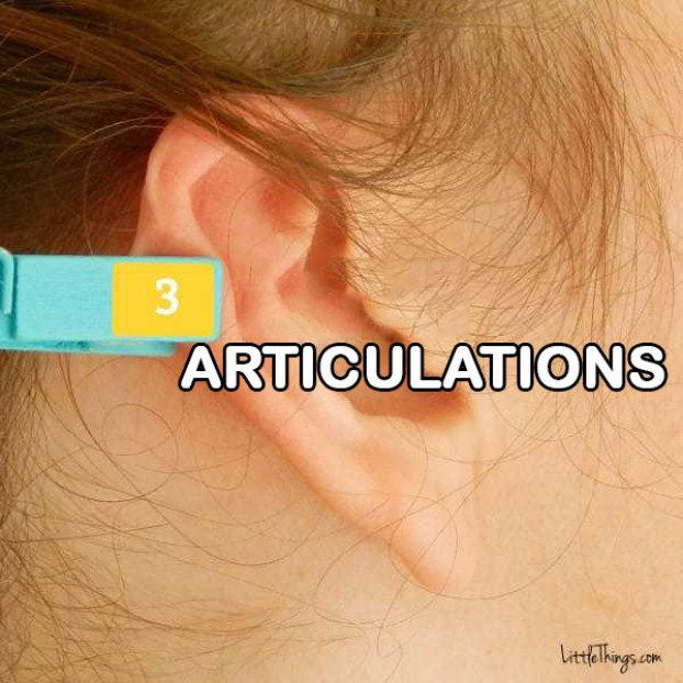 Articulation Réflexologie