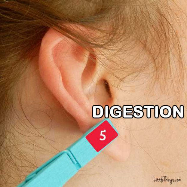 Digestion Réfléxologie
