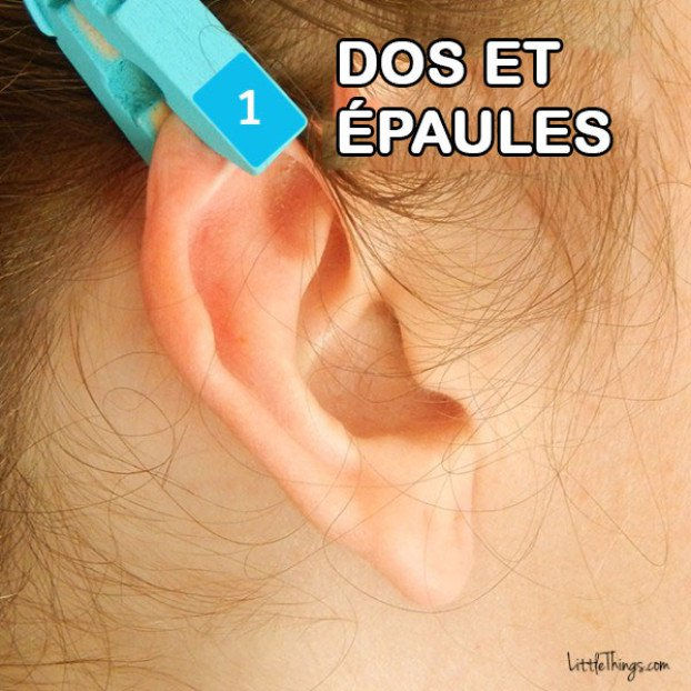 Dos et épaule Réflexologie