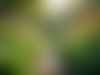 The Importance of Sustainable Living in Today’s World